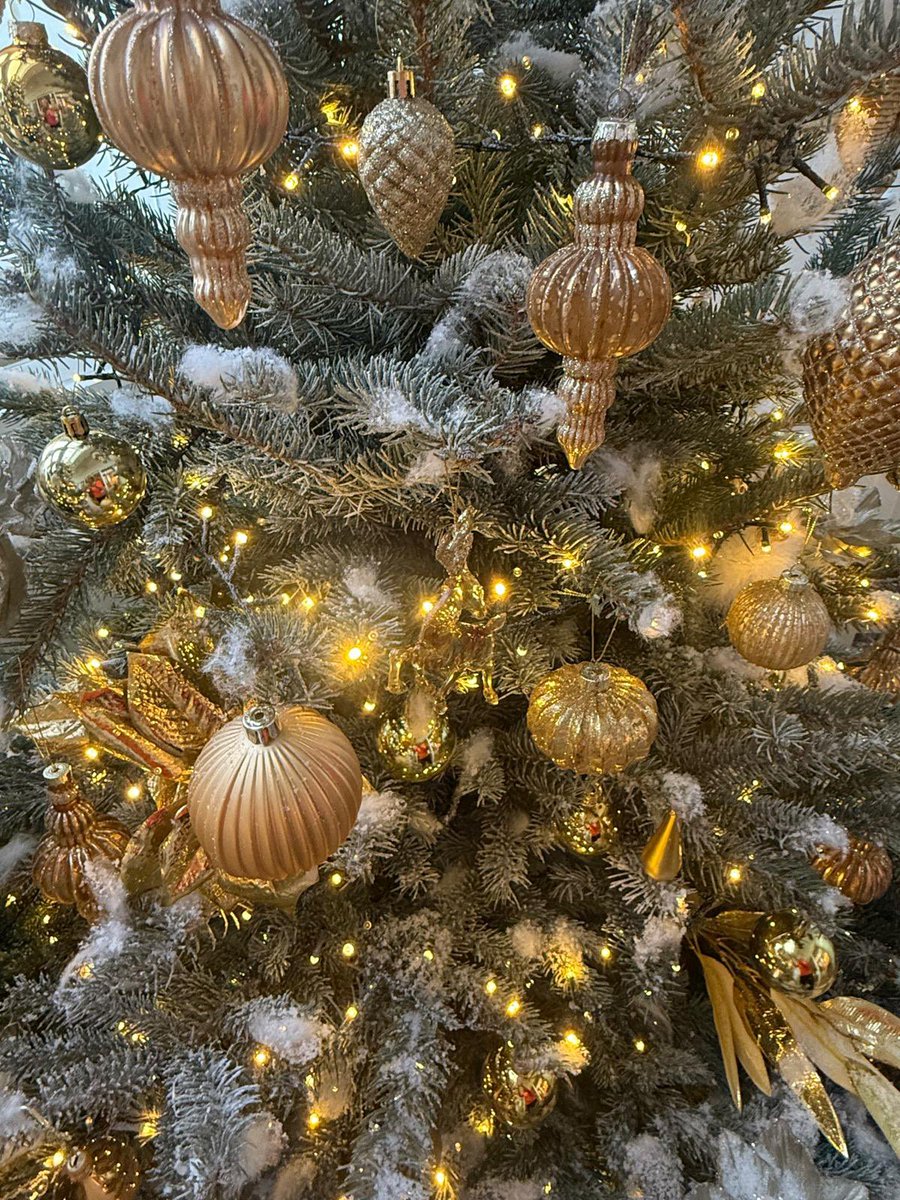 drMrsic's tweet photo. Neka ovaj Božić donese mir, nadu i ljubav svima. Sretan Božić! 🎄 https://t.co/YGunVJjlp1