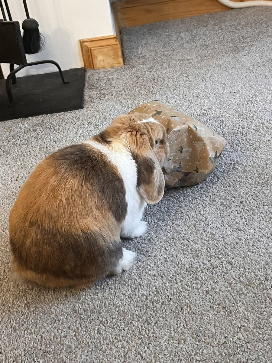 Maxine Trick Jones tweet media