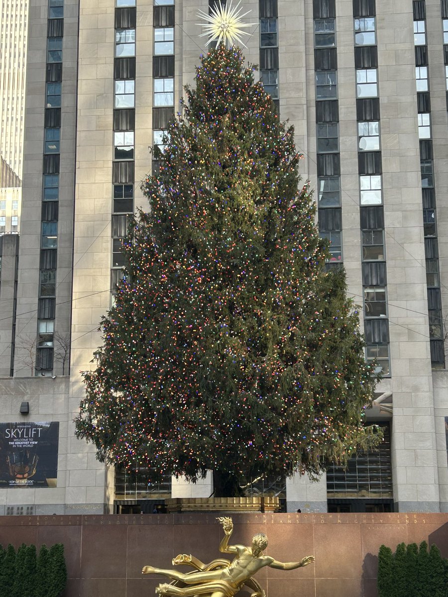 Julie D 👵🏻🧶🧵🌱 tweet media