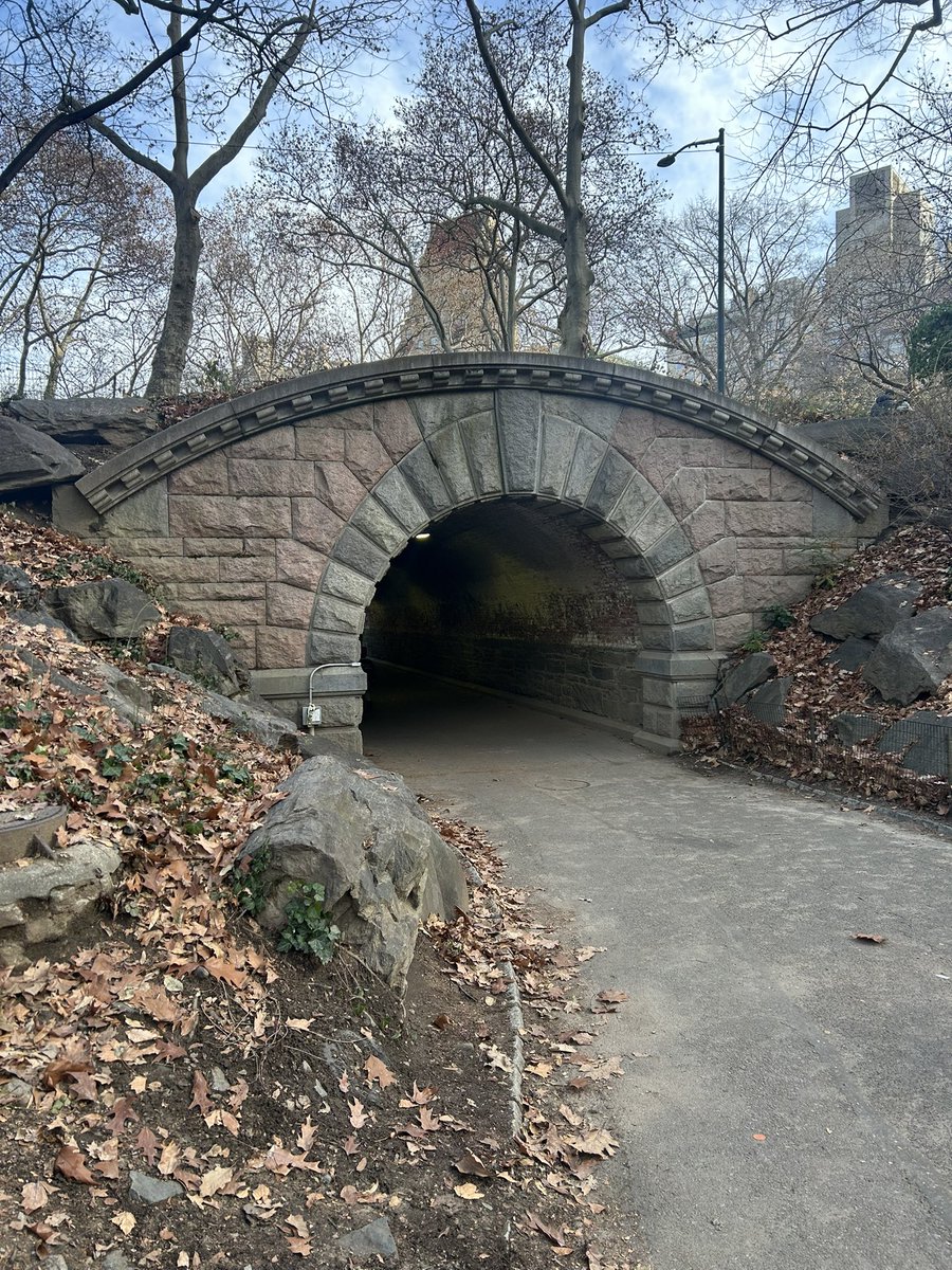 Julie D 👵🏻🧶🧵🌱 tweet media