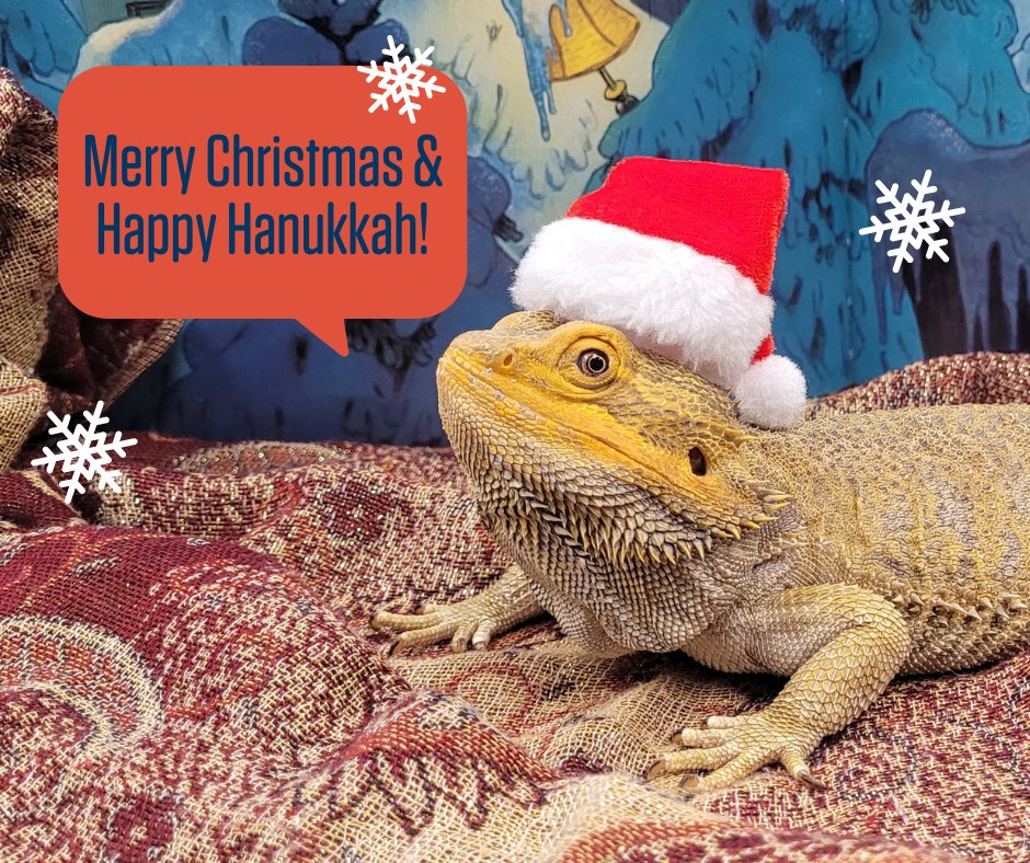 Merry Christmas and Happy Hanukkah from Norbert and all of us here at the Barrie Public Library! Wishing you and yours a safe and happy holiday season. ❤️🎅🔯

For book lists to celebrate the meaning of these two special holidays, visit: tinyurl.com/42dtupuv