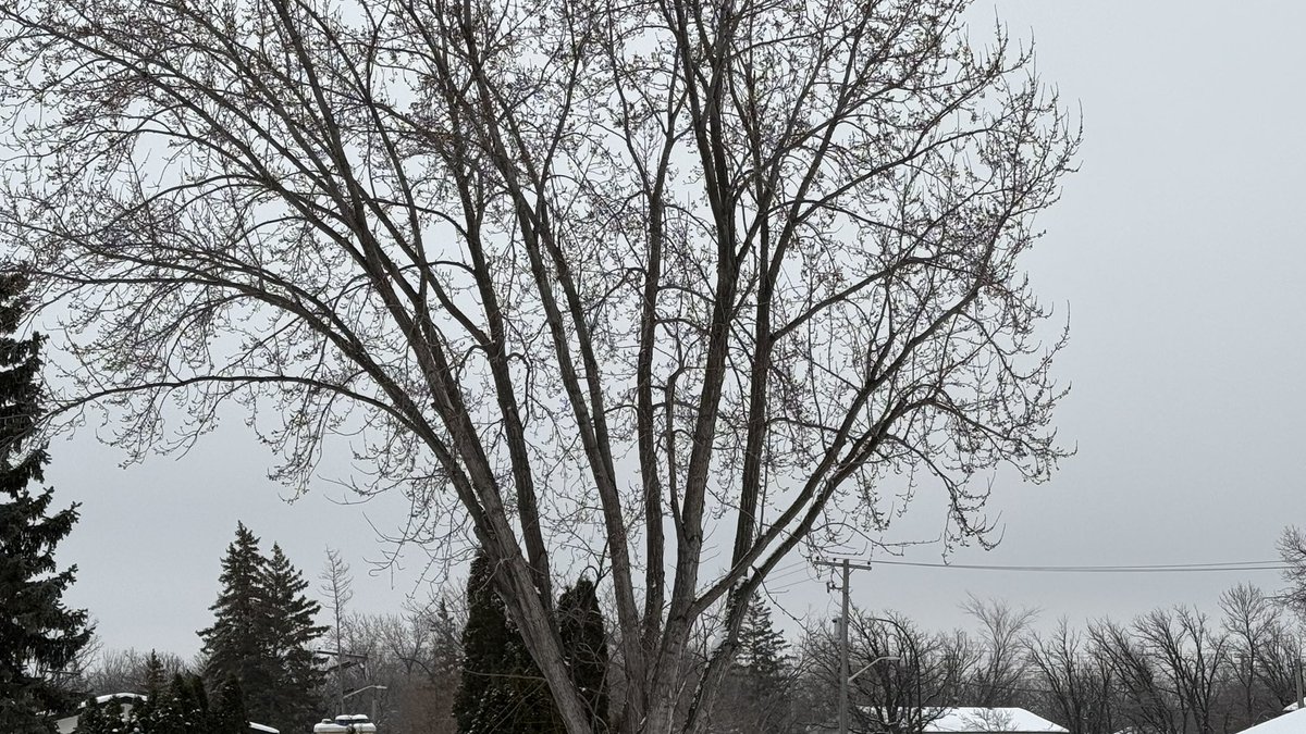 Dorota Blumczyńska tweet media