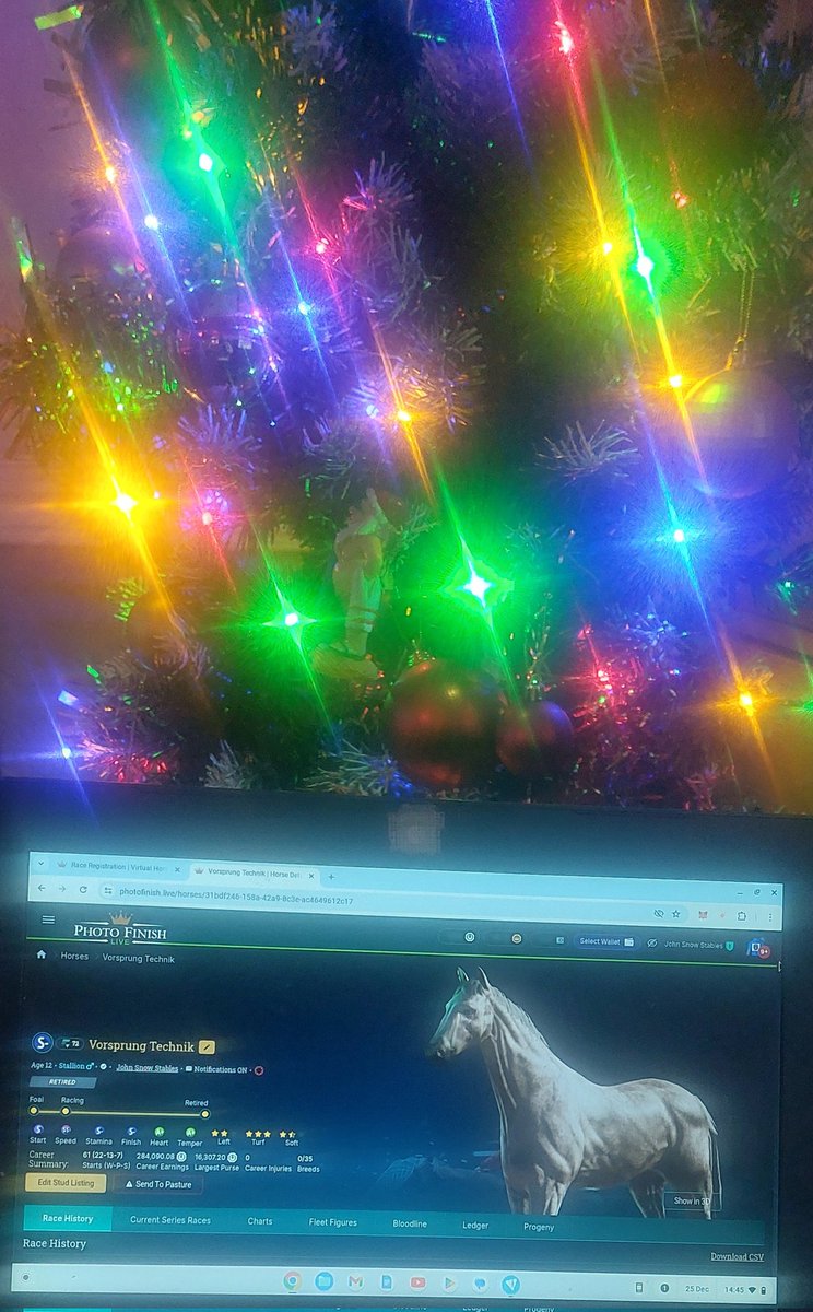 JohnSnowStables's tweet photo. @SangudoStables @photofinishgame @BAXUSco Merry Christmas from me and the best horse I have had. https://t.co/7esa4gAp5J