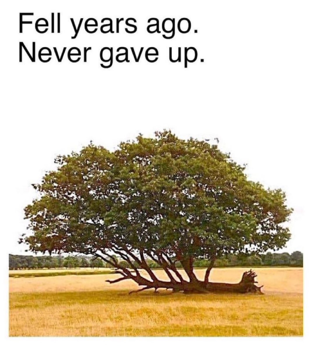 sciencegirl's tweet photo. https://t.co/OhKQqAn2VB