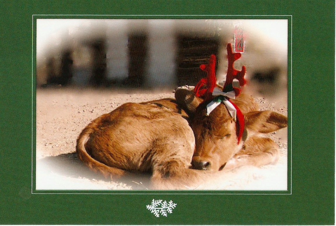 Wishing everyone Peace and Joy on this blessed Christmas day, and that we pause to contemplate how deeply we are loved.