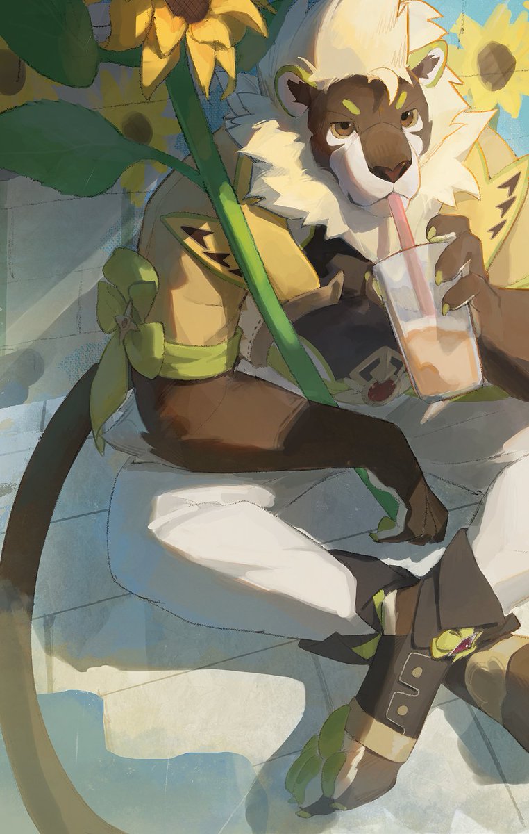 这张发的时候不知道为什么糊了，不好意思，再发一次。