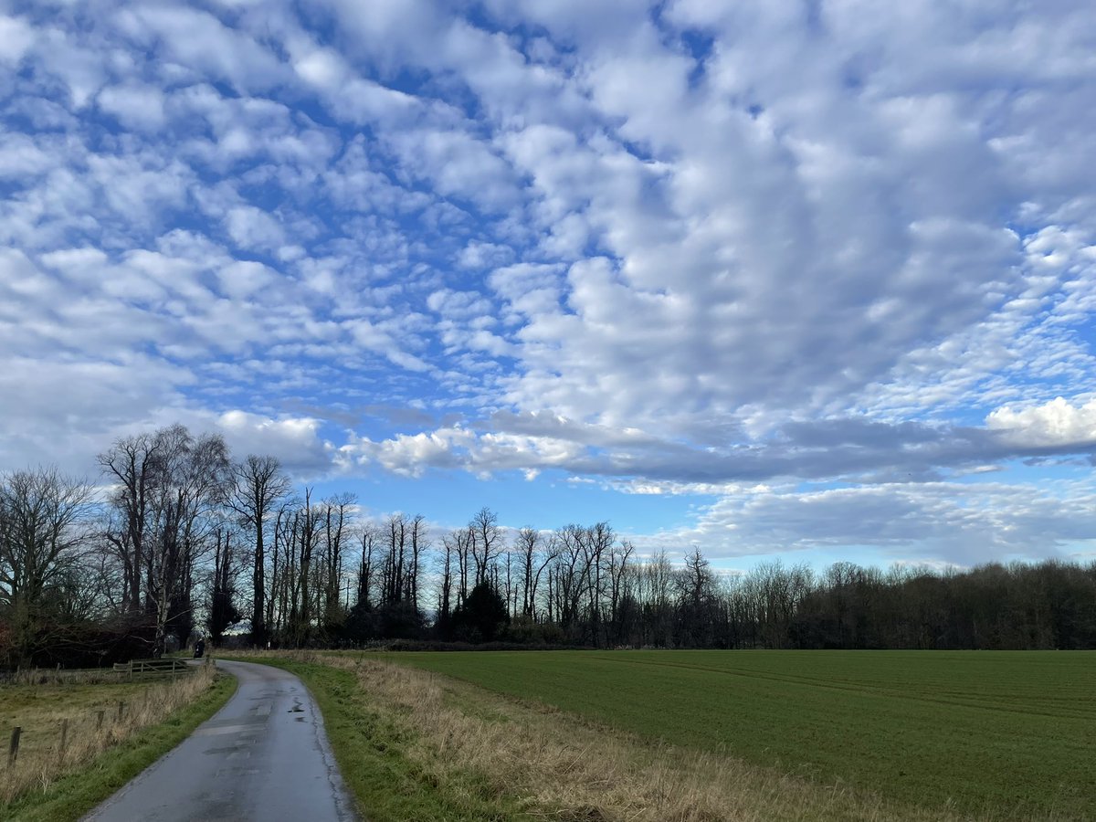 Harriet Cross tweet media