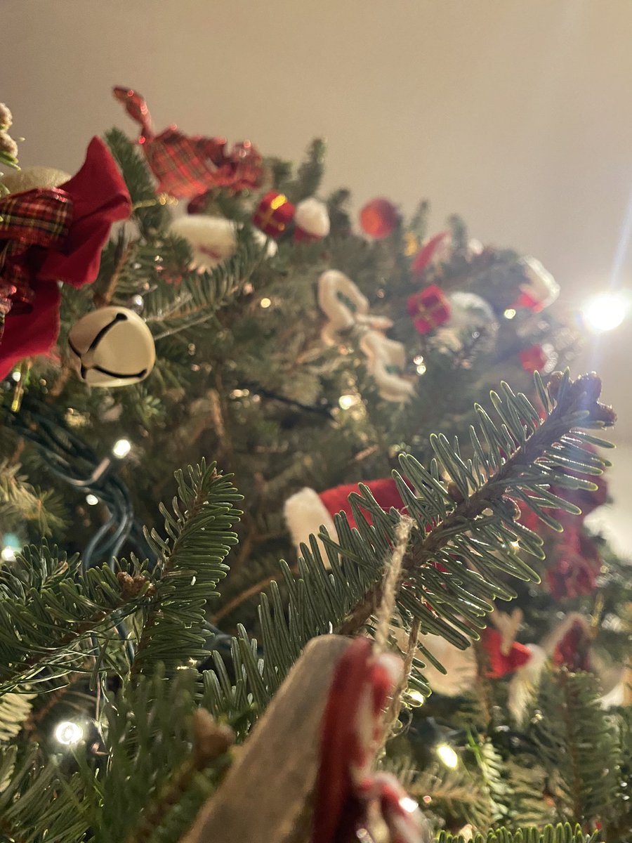 skiergurl's tweet photo. Merry Christmas! https://t.co/kUKsuMo550
