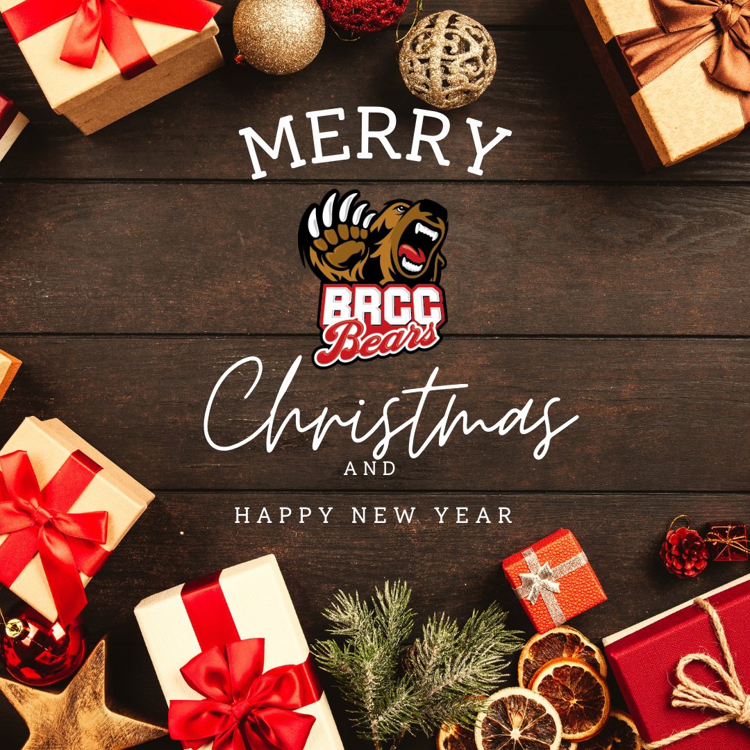 Merry Christmas and a Happy New Year !