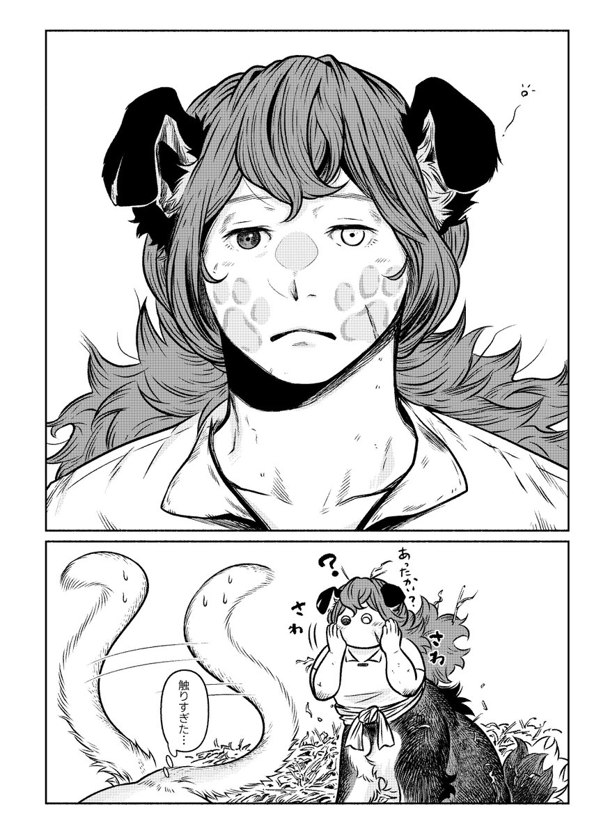 肉球 