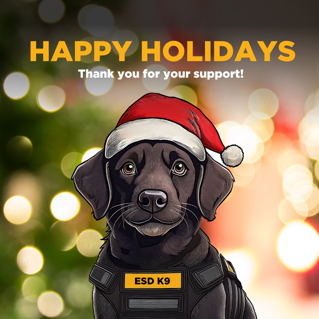As we reflect on this season of giving, we want to express our heartfelt gratitude for your support of OUR Rescue. Because of you, countless lives around the world have been changed, and survivors of sex trafficking and child exploitation are finding hope, healing, and peace.
