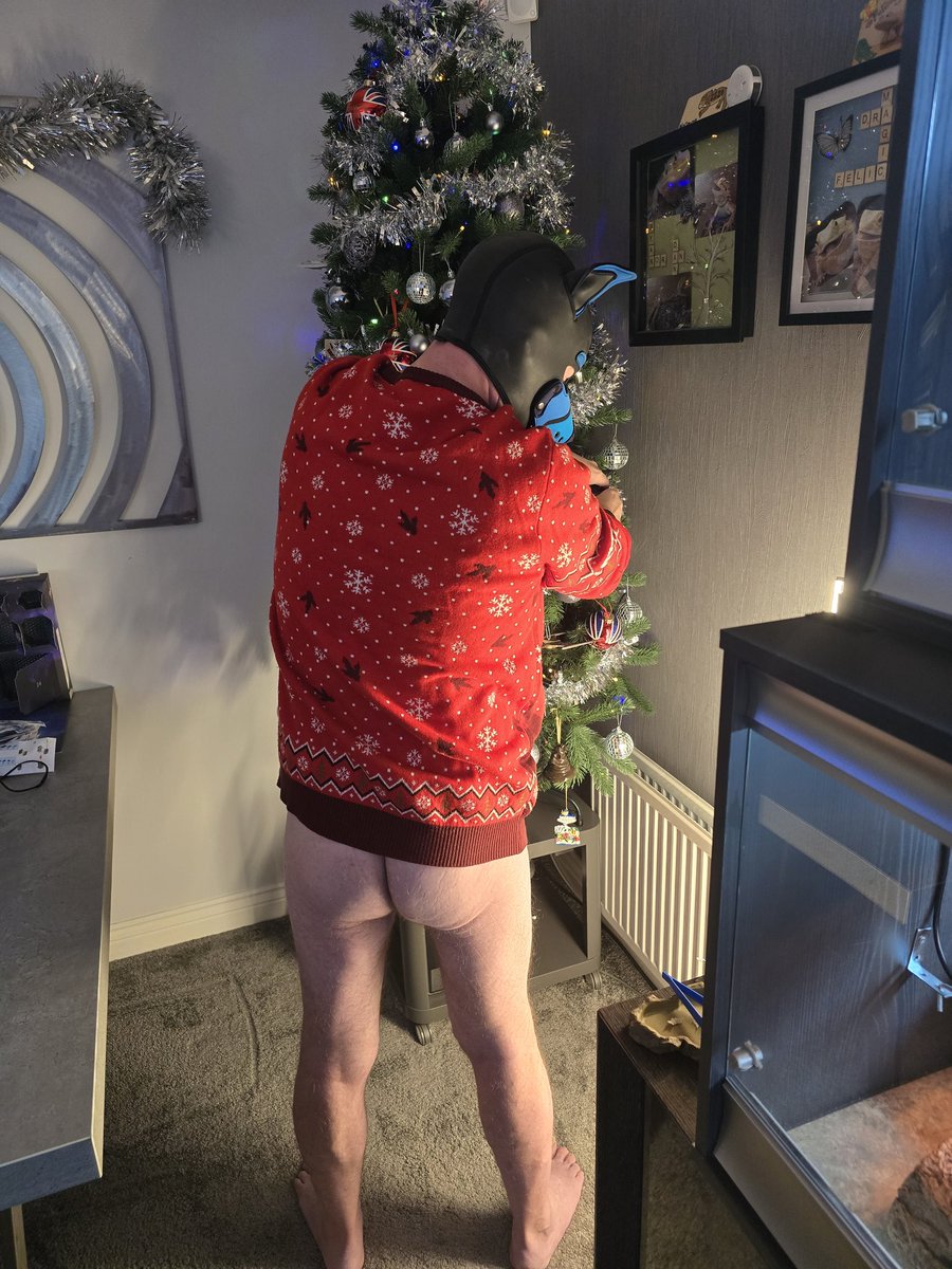 WoofThepup's tweet photo. Looks like Woofs forgotten something... who's up for a bit of Christmas puppy bottom while he sorts out the Christmas Tree #hungalpha #alphapup #pupbutt #hornypup #puppybottom #littlebutton https://t.co/t3Pgf8v3c4