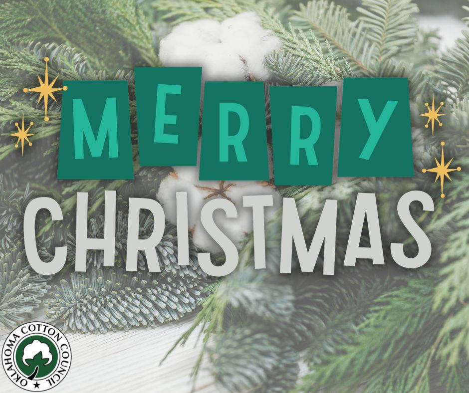 Cotton isn’t just the fabric of our lives—it’s the spirit of the season! 🌱🎄

From the cozy sweaters we wear on chilly nights to the festive decorations that brighten our homes, cotton is woven into the moments that make this time of year so special.

As we reflect on the pa...