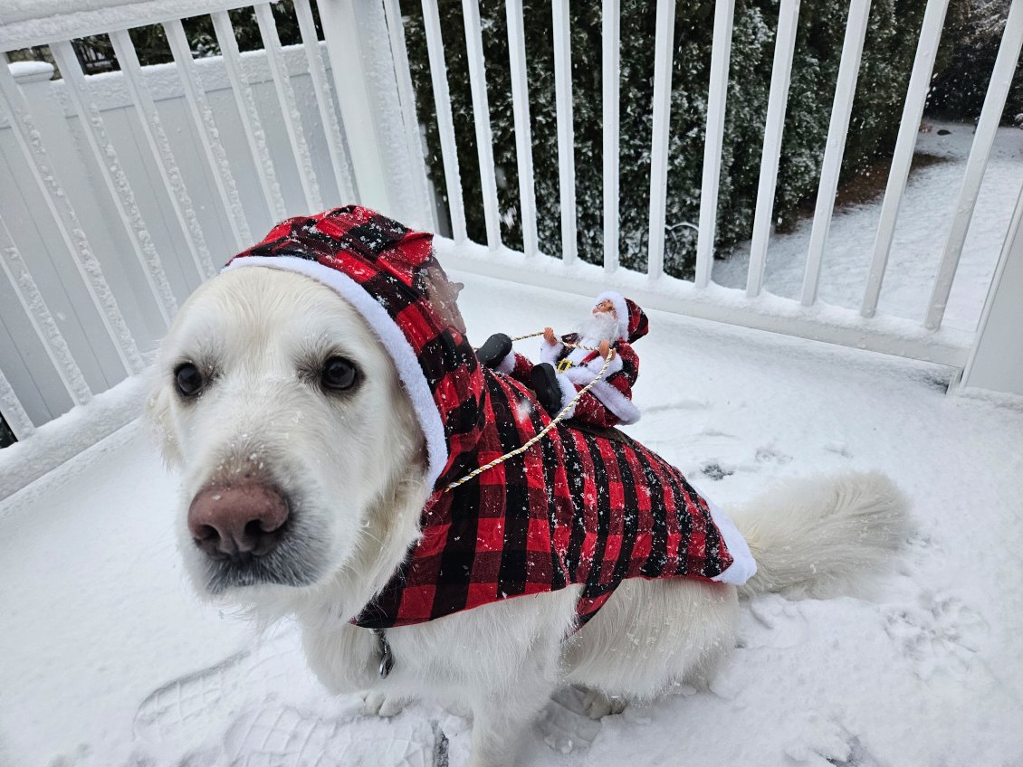 Kathi Reinstein tweet media