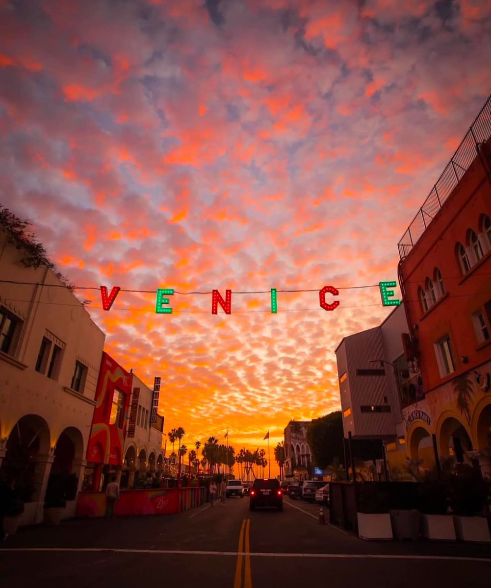 Navidad en Venice ❤️🥰🎄#descubraLA
📸: @jjones_nomadic