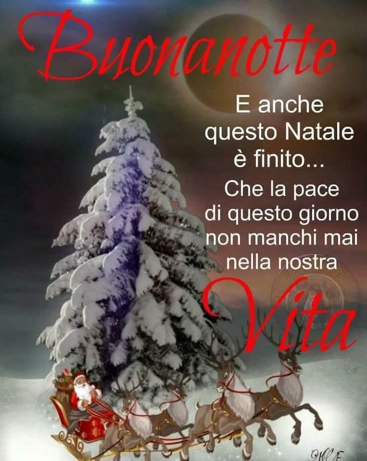 RITABIANCHi56 tweet media