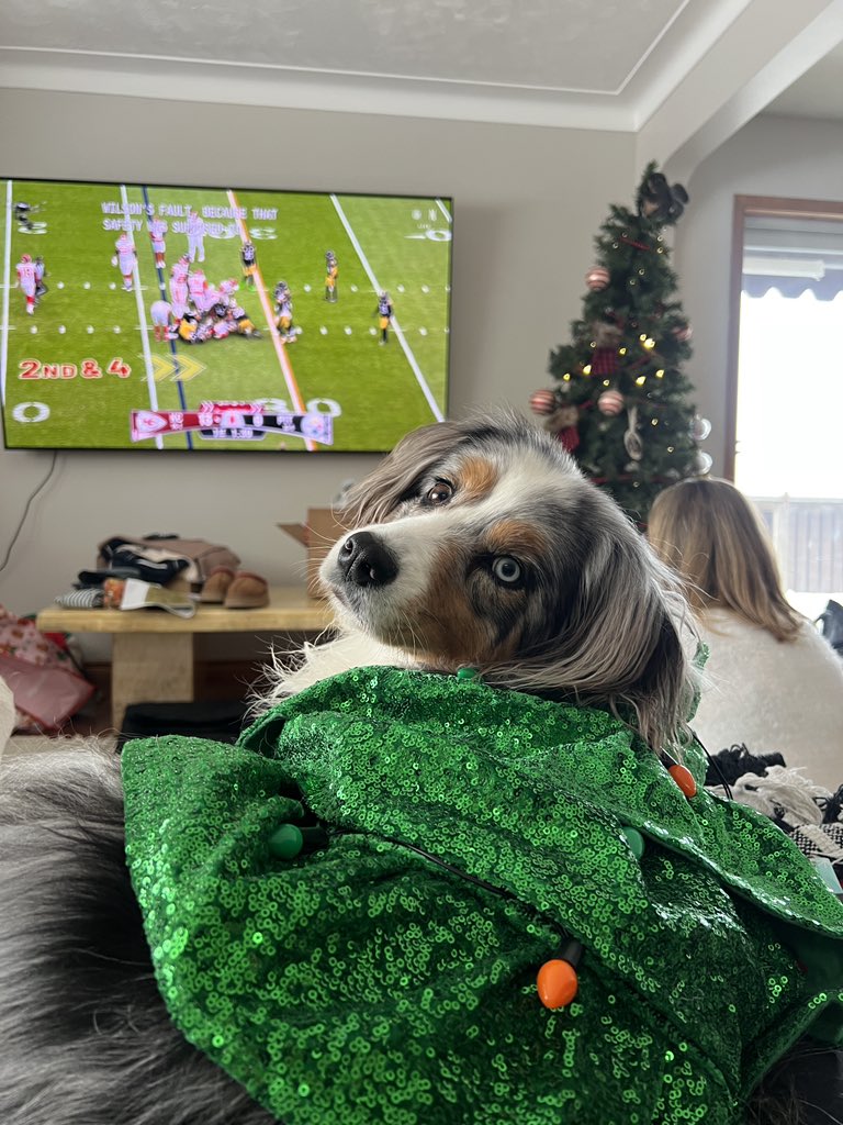 Watching the game from Canada 🇨🇦 <a href="/ScottHanson/">Scott Hanson</a> <a href="/drewbrees/">Drew Brees</a> <a href="/netflix/">netflix⁷</a> <a href="/NFL/">NFL</a> #NFLonNetflix