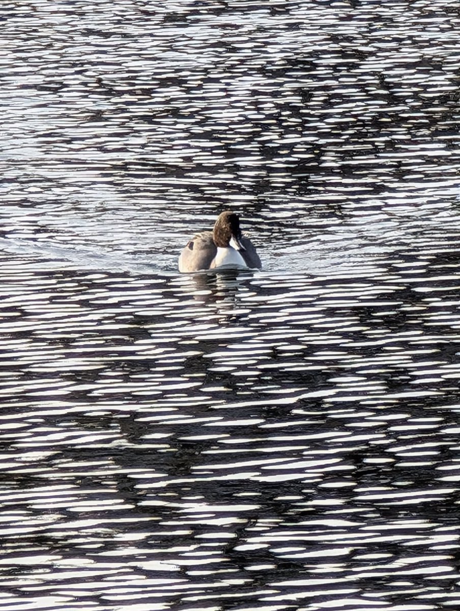 おはようございます
😺🤗😸
さぁ🤩いよいよ26日
木曜日、新年もすぐだね🎍🎍
やり残したこと、やっていきましょう🔥

それでは、行ってきまぁ～す

行ってらっしゃい👋

キャー(≧▽≦)