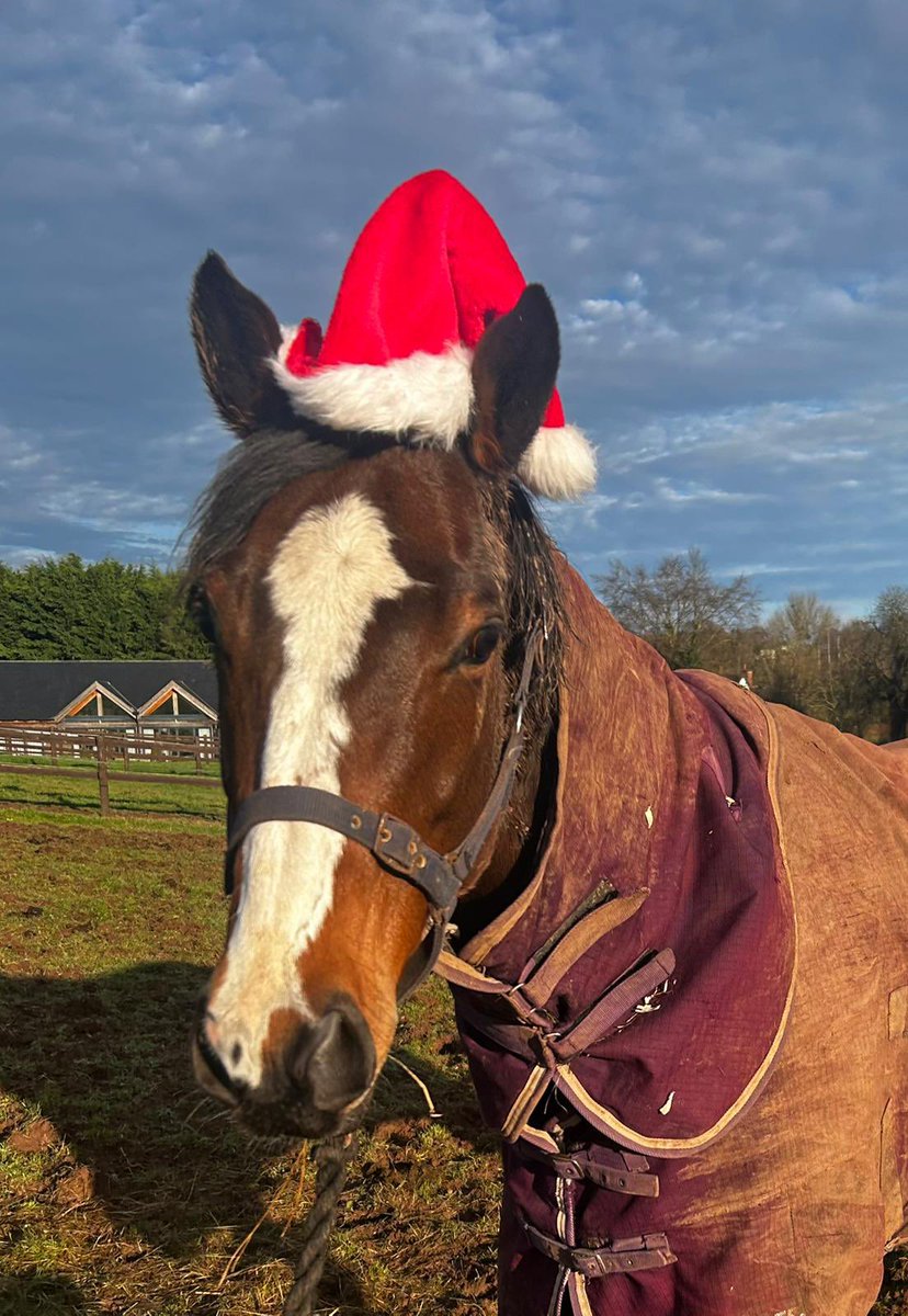 Value Racing Club tweet media