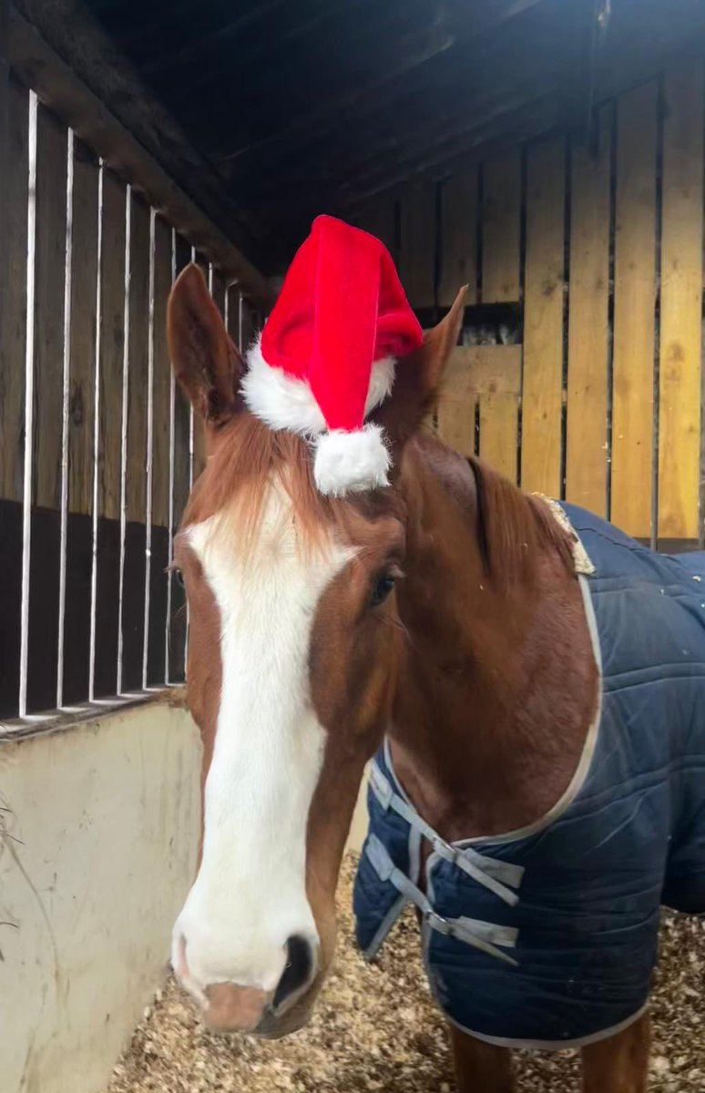 Value Racing Club tweet media