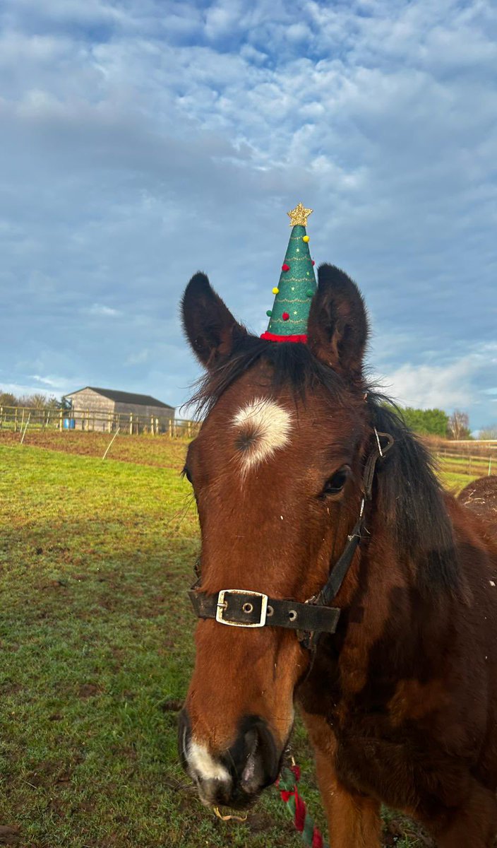 Value Racing Club tweet media