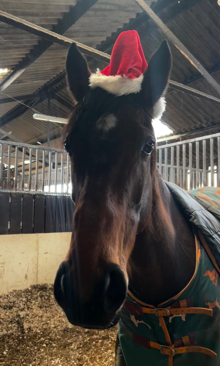 Value Racing Club tweet media