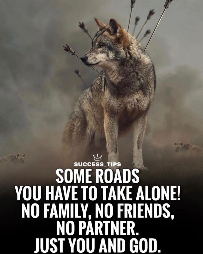 TommyM313's tweet image. 