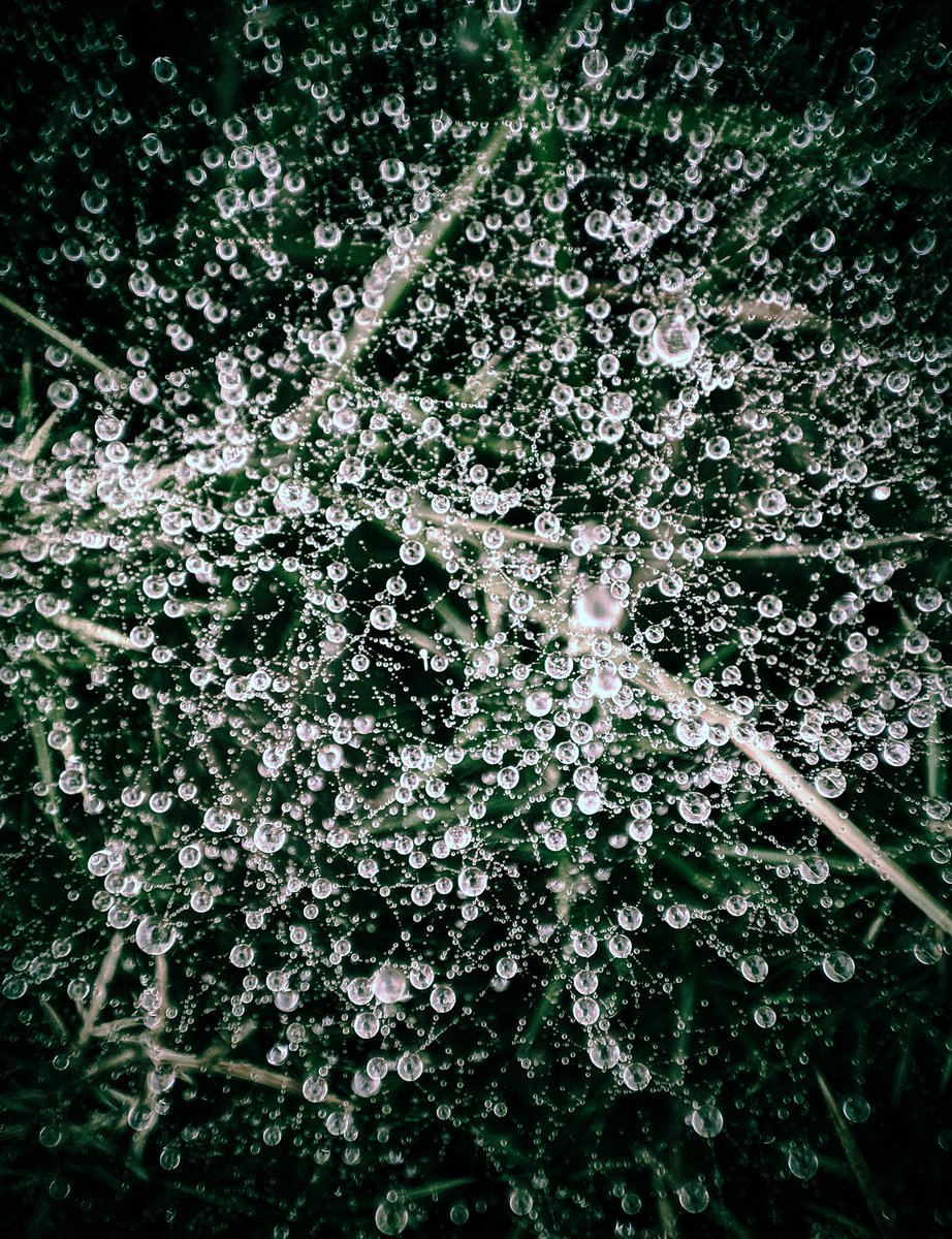 Happy holidays everyone, I hope however you're spending today, you're happy, and if not: feel free to reach out, you're not alone 💜