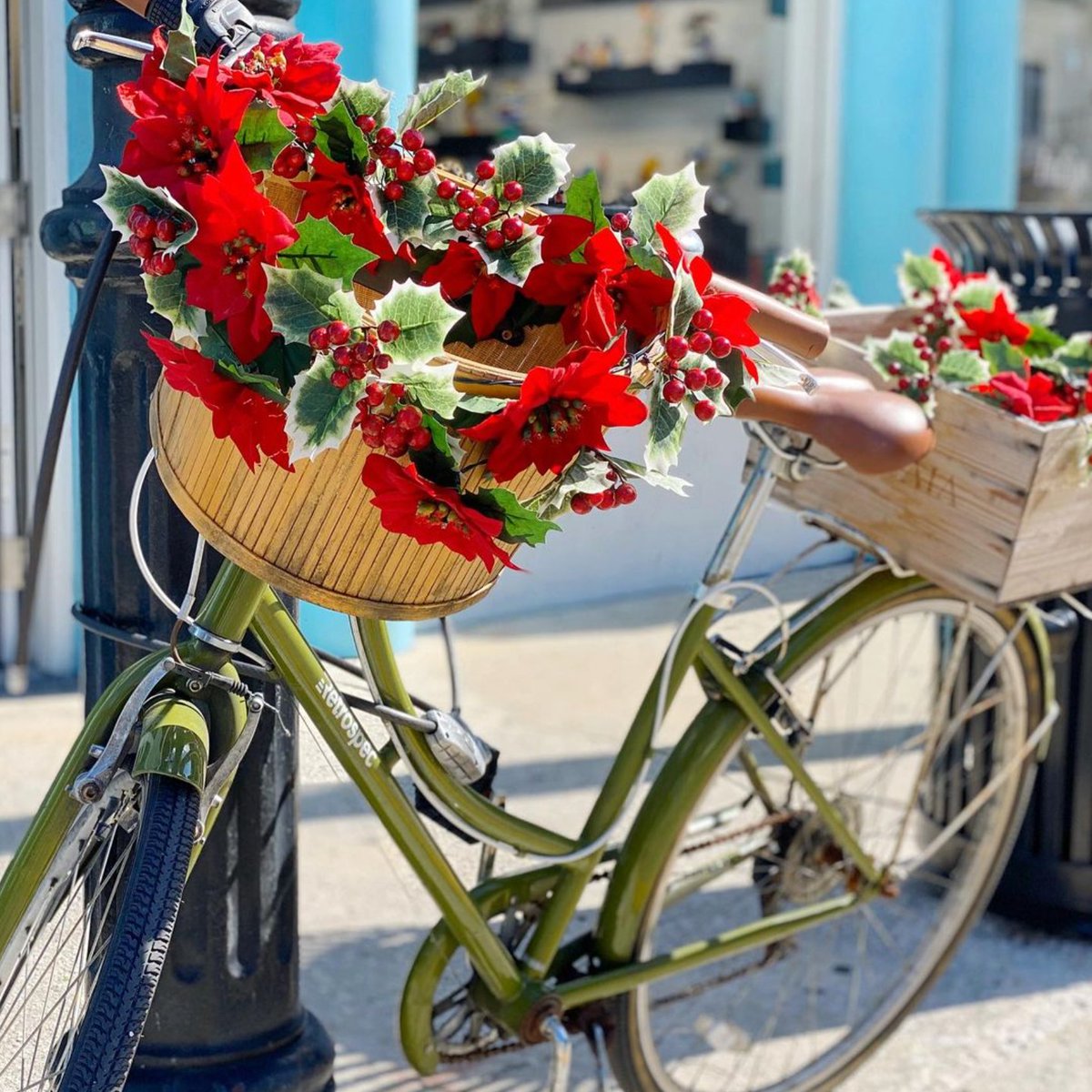 🎄🚲 This holiday season, we’re riding into the spirit of giving, joy, and artistic wonder! From all of us at The Studios of Key West, we wish you a holiday season as vibrant and full of life as a bicycle adorned with poinsettias. 🌺

📷 Tamara Alvarez @the_sunnyside_up
