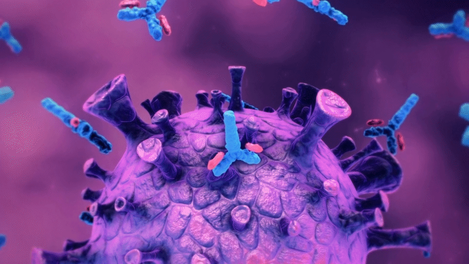 Immunity tweet media