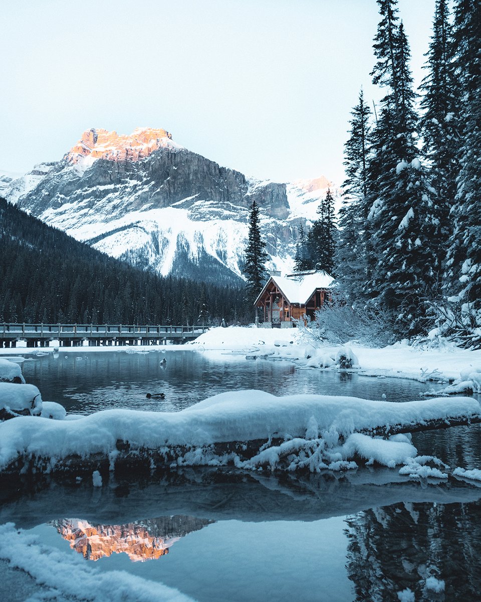 Emerald Lake Lodge tweet media