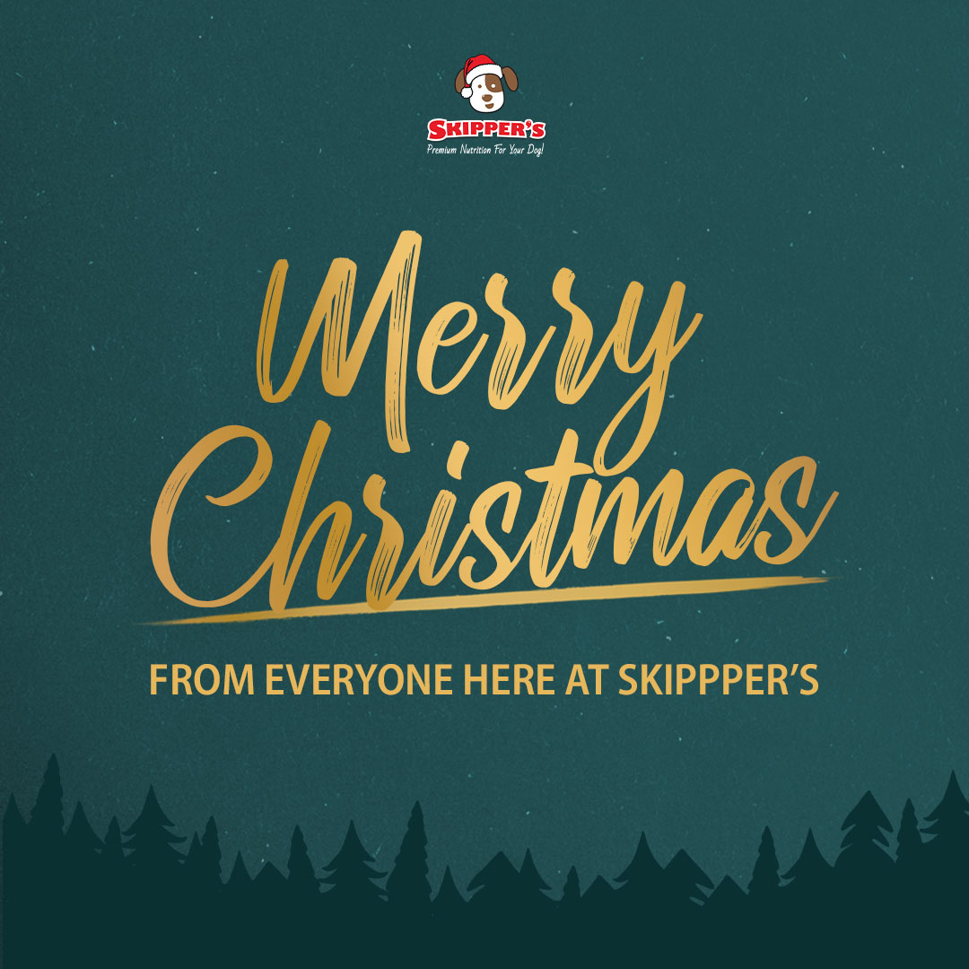 A huge thank you to all of our amazing customers and your pawsome pups for your continued support throughout the year 💙 We hope you have had an amazing day filled with lots of tail-wagging fun, love, and treats! 🎁

#skipperspetproducts #merrychristmas #naturaldogtreats #dogs