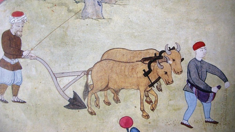 Türk Köylüsünü Canından Bezdiren Osmanlı Vergi Sistemi (FLOOD)

1⃣- Osmanlı’da 40 adım uzunluğunda ve genişliğinde olan toprak parçasına DÖNÜM, 60 ila 150 dönüm arasındaki toprak parçasına ise ÇİFT (ÇİFTLİK) denirdi.

Toprağın sahibi devletti. Halk ise, ektiği toprağın sahibi