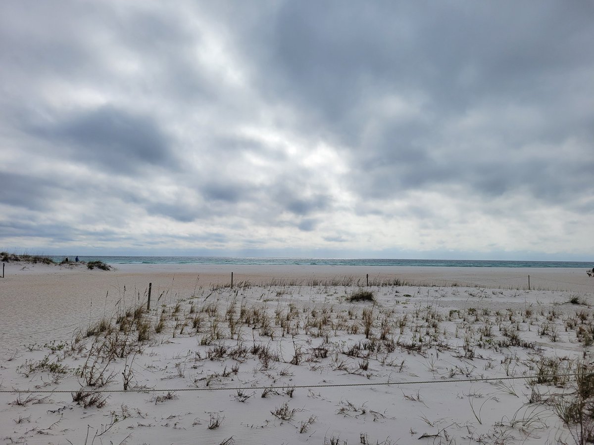 GrizzGandy's tweet photo. A little Christmas day beach time. 

Merry Christmas 🎅 🎄 everyone! https://t.co/OQygQvF1LK