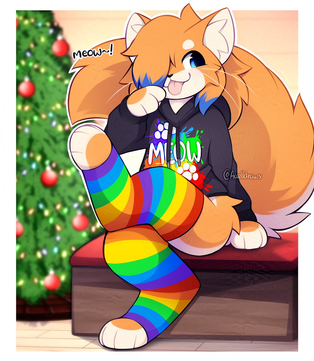 don we now our gay apparel~ 🐱🎄