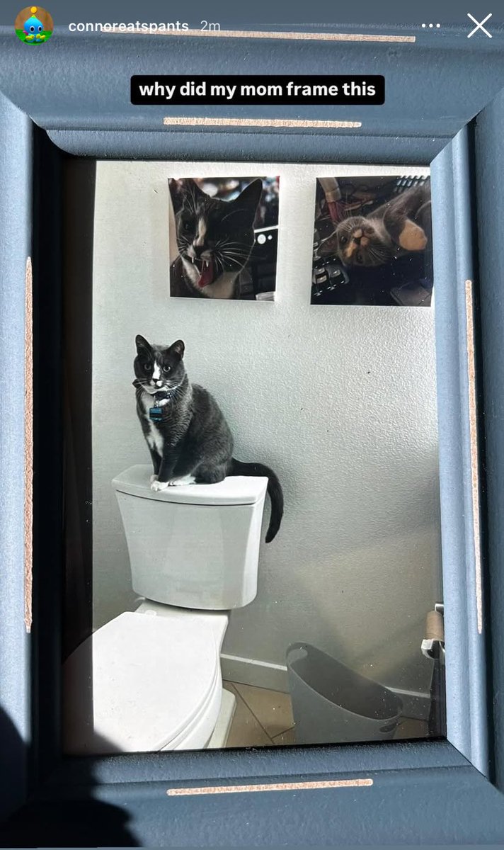 ConnorEatsPants Updates tweet media