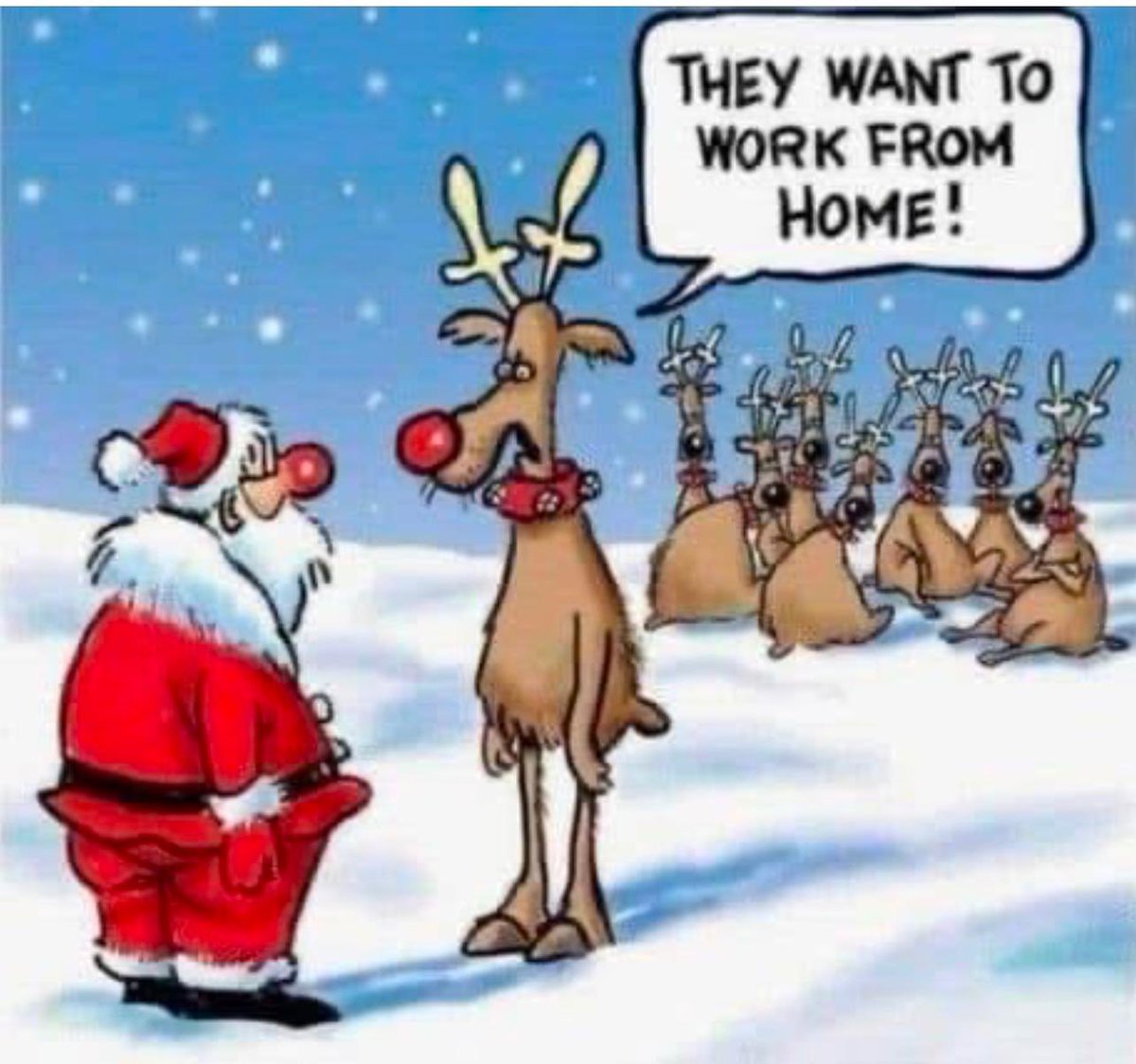 Happy holidays 🎄🎉🍾