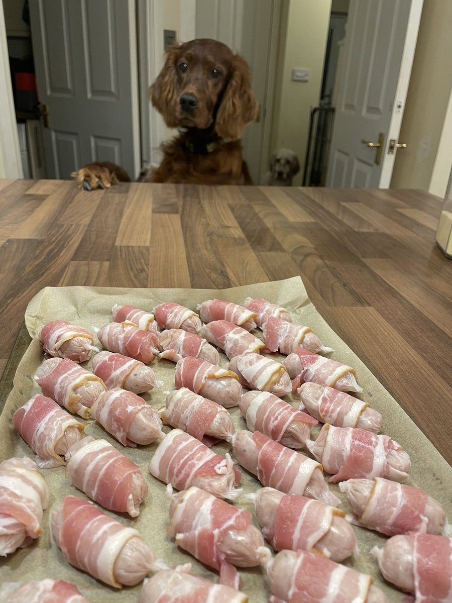 funusual's tweet image. I think she wants one.