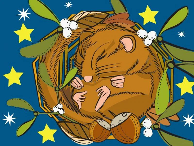 Rachel Horne tweet media