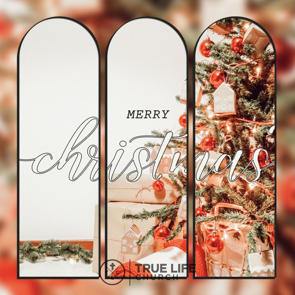 FindTrueLifeCC's tweet image. 