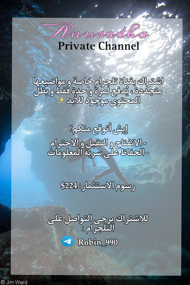 كايا الرائعة tweet media