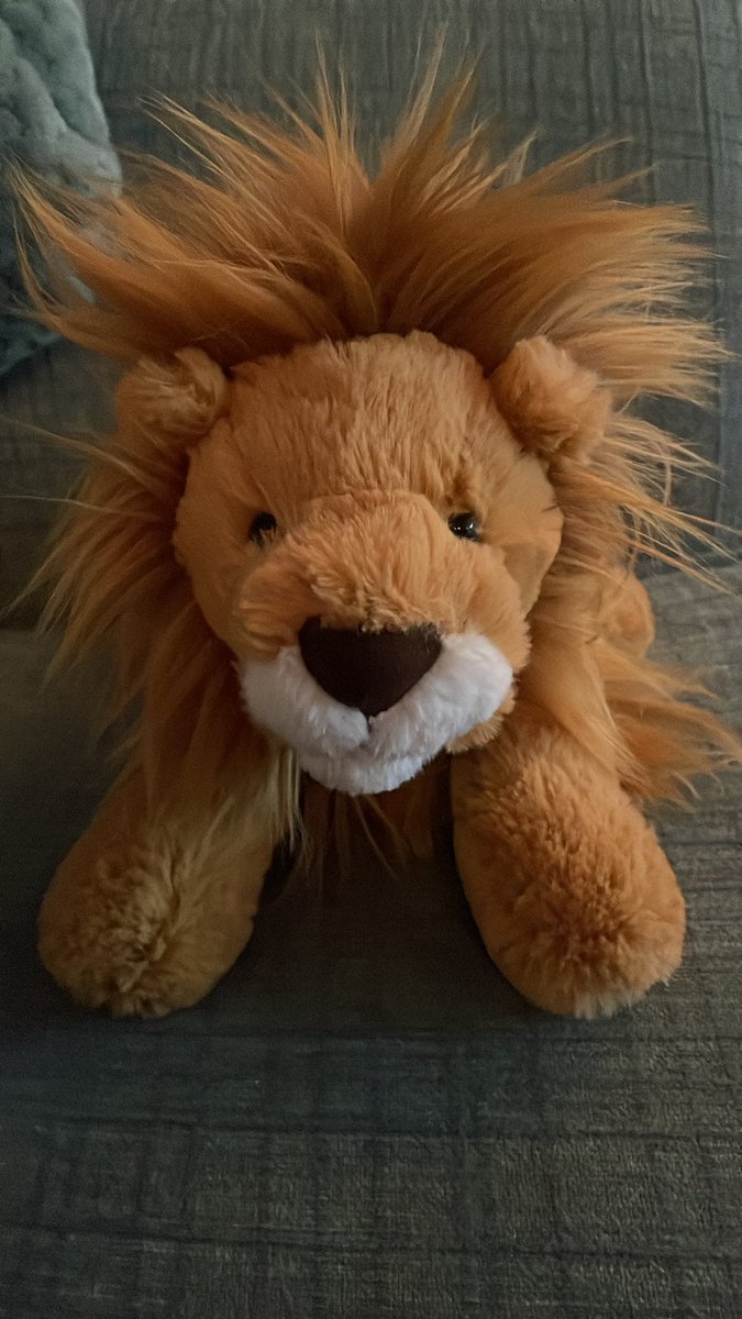 _bethmoore1_'s tweet photo. My mom got me a lion jellycat not knowing it was so Dan-coded. I’m gonna cry. What do I call him?!? https://t.co/zaHZgclICE