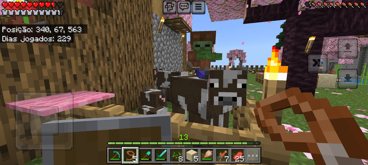 Paulinnz_'s tweet photo. Nem sabia que isso era possível kkkkk #Minecraft #game https://t.co/H4ifGnNPpc