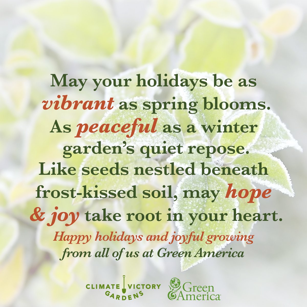 🎄✨ Happy Holidays from all of us at Green America! Wishing you a season filled with joy, love, and sustainability. 🌍💚