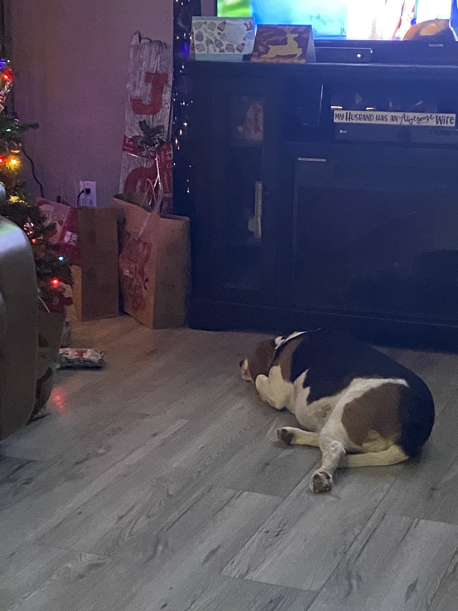 Merry Christmas everyone! 
My pup was excited to open gifts