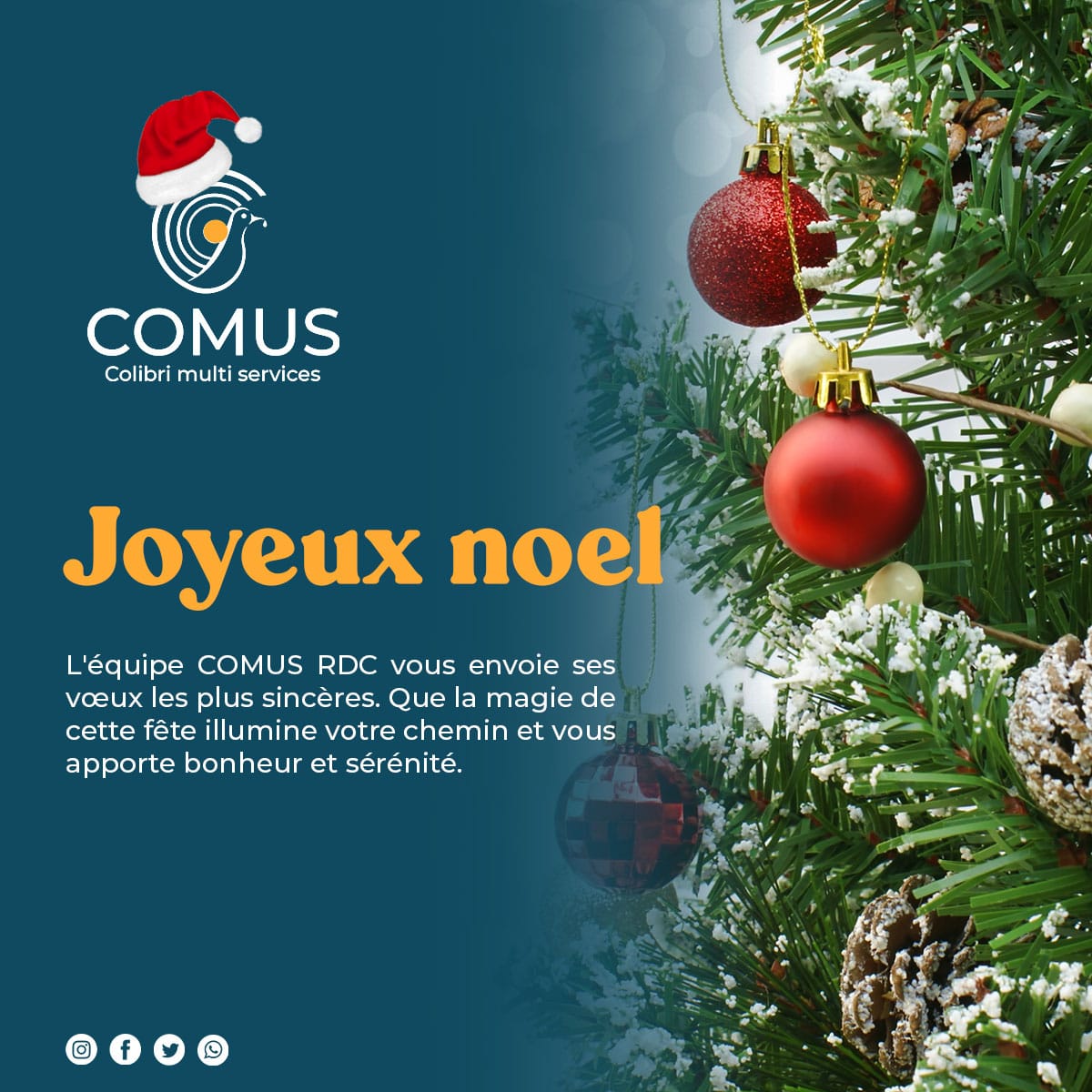 comus_rdc's tweet photo. https://t.co/FVkPTgMWQA