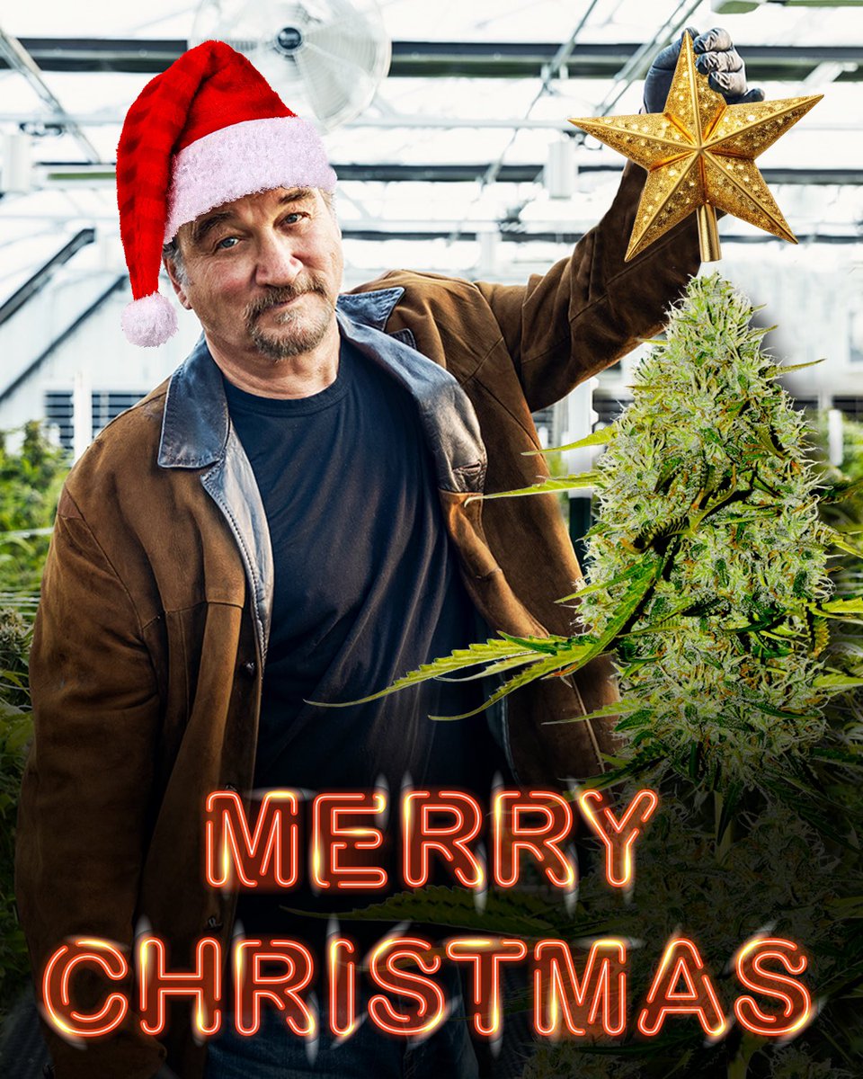 Merry Christmas and Happy Holidays!