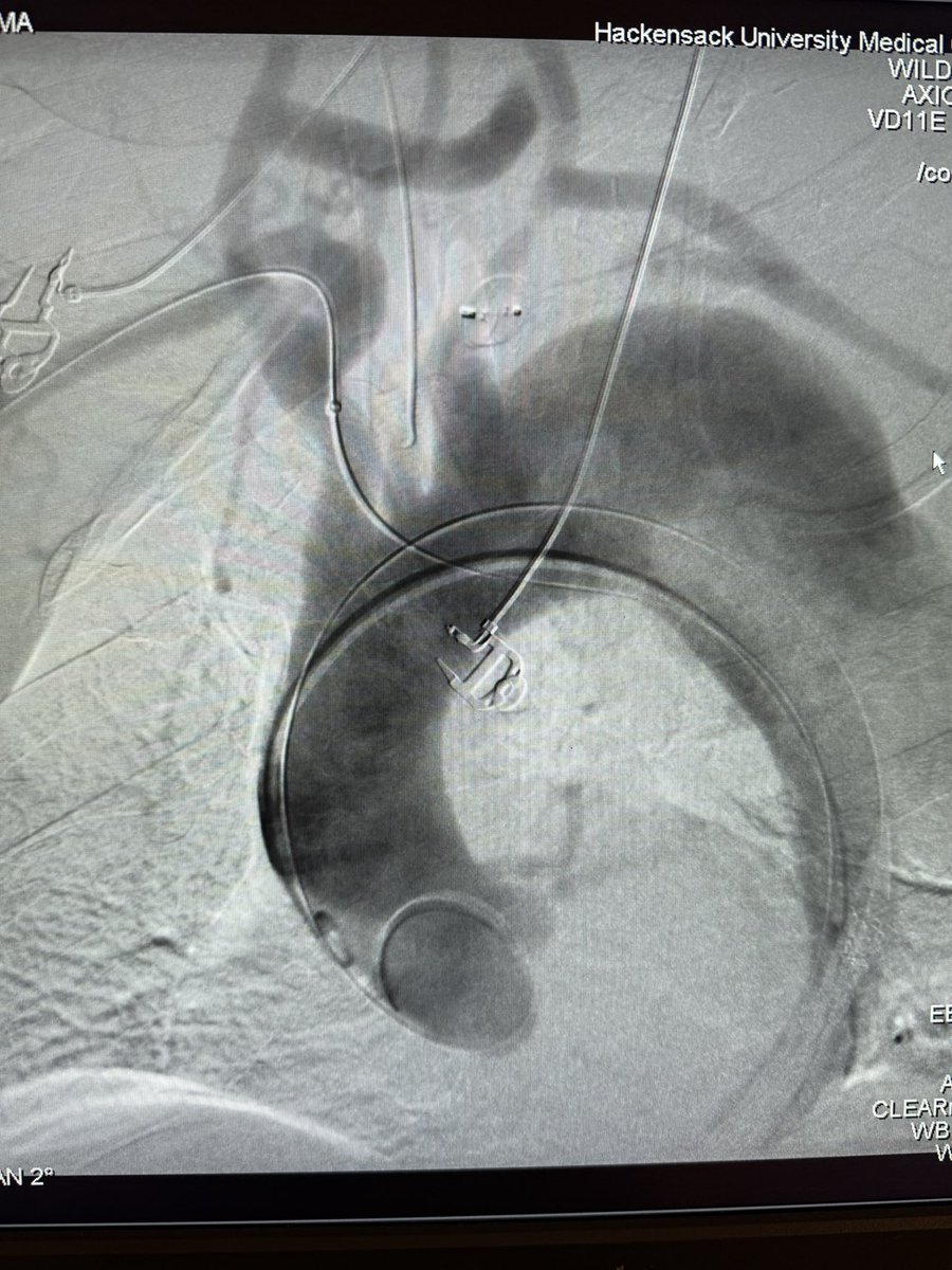 Dr Michael Wilderman tweet media