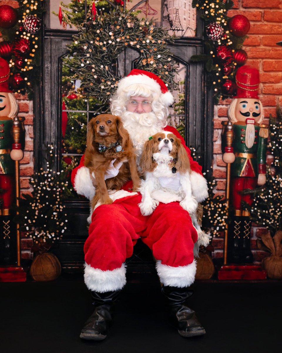 Happy Crissmiss to the #cavpack (and eeeyone else!)