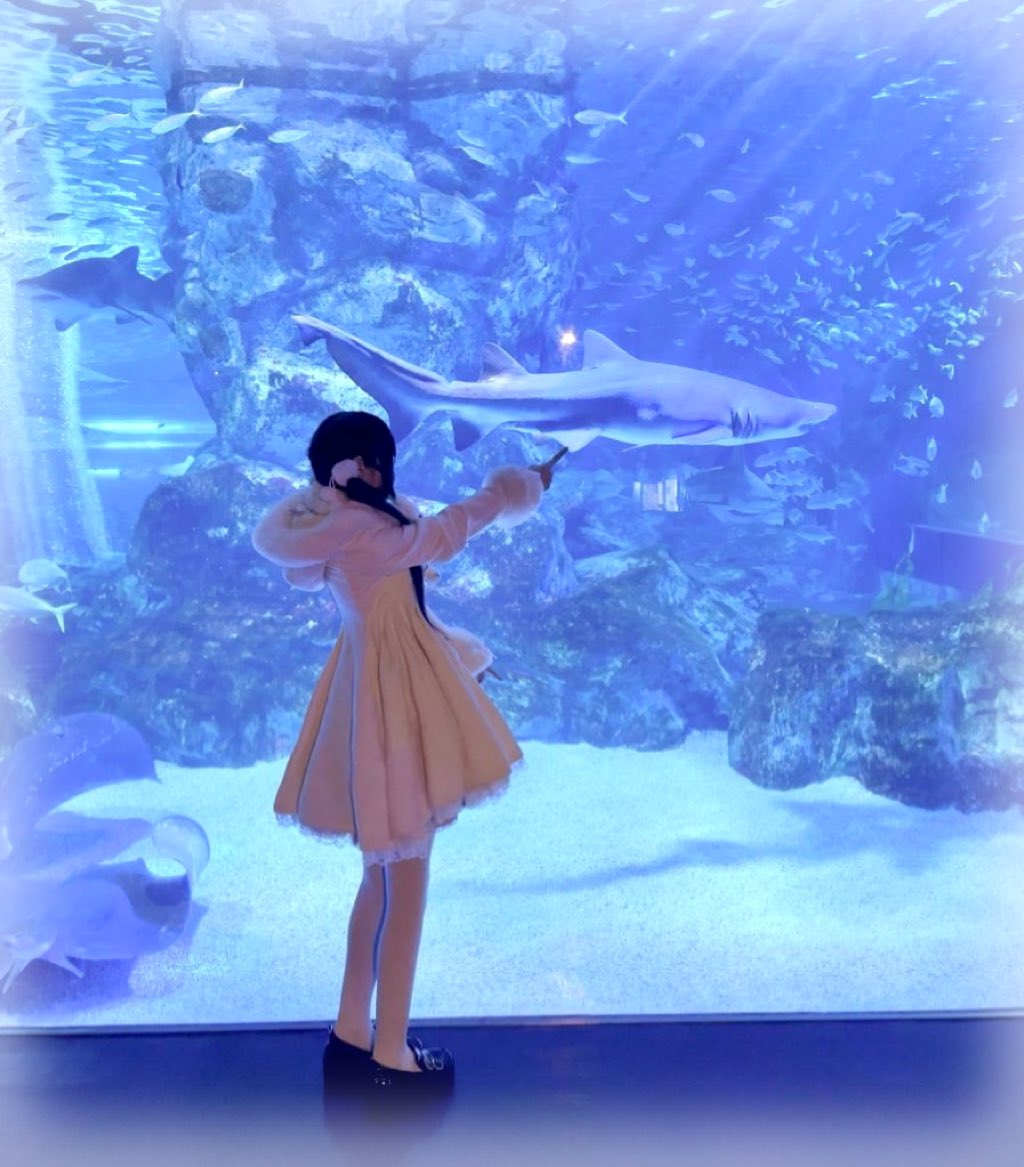 みう (@ponmiu_) on Twitter photo 